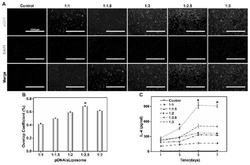 Preparation method of micro-nano fiber for micro-environment responsive immune regulation and nerve regeneration promotion