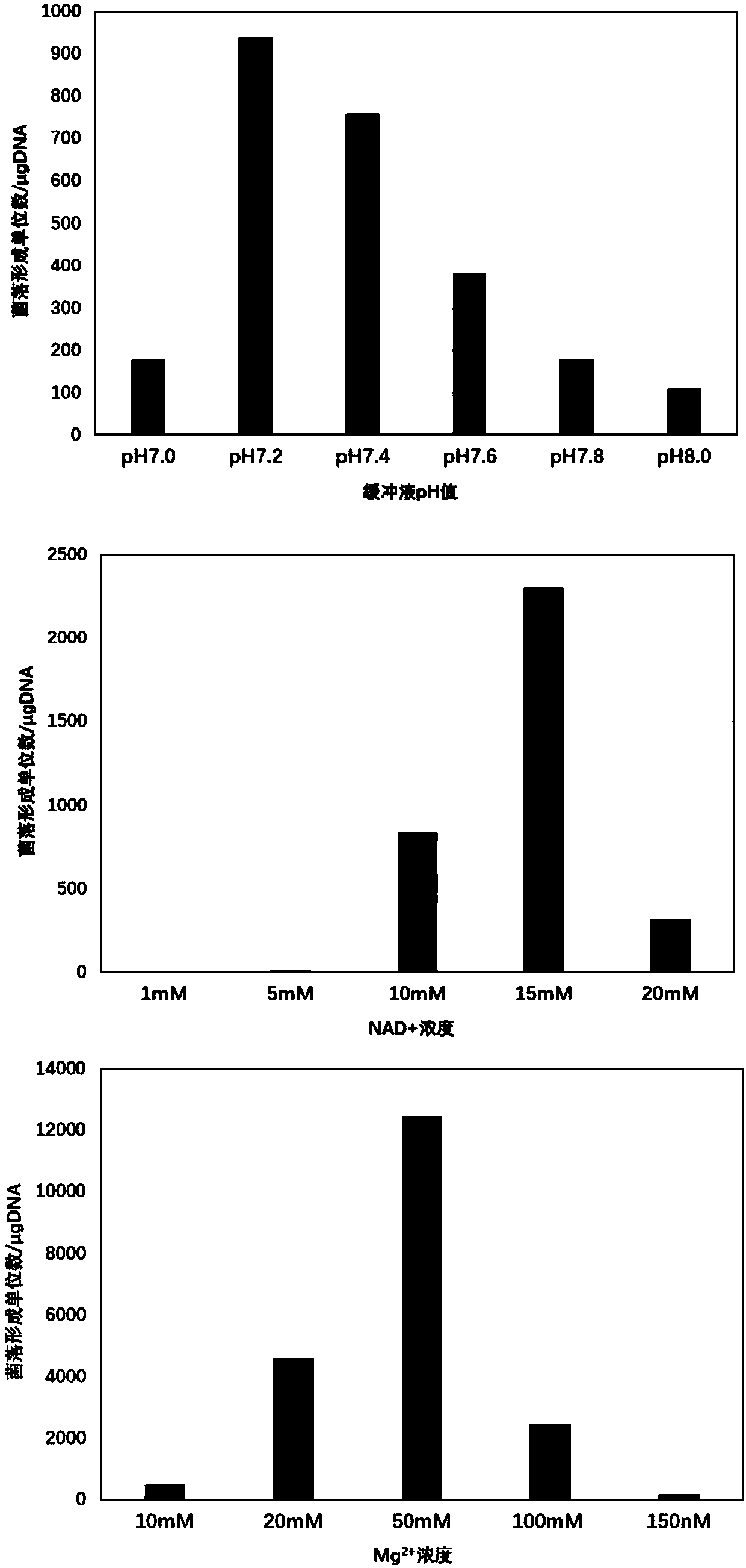 Method for rapidly assembling non-phosphorylated DNA (deoxyribonucleic acid) fragments in vitro