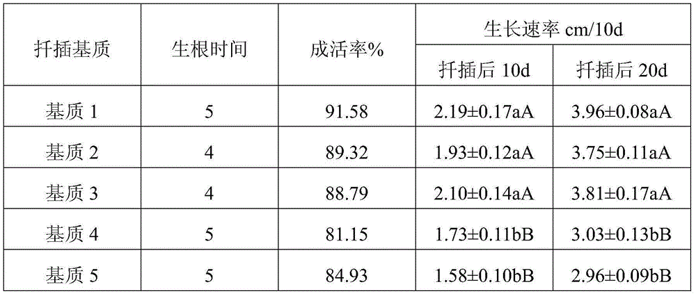 Scrophulariaceae cutting cultivation method