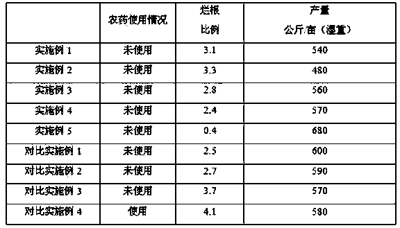 Planting method for Daningcodonopsispilosula