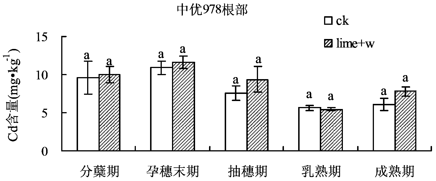 Method for comprehensively controlling cadmium pollution of rice by utilizing modifier and agricultural technology