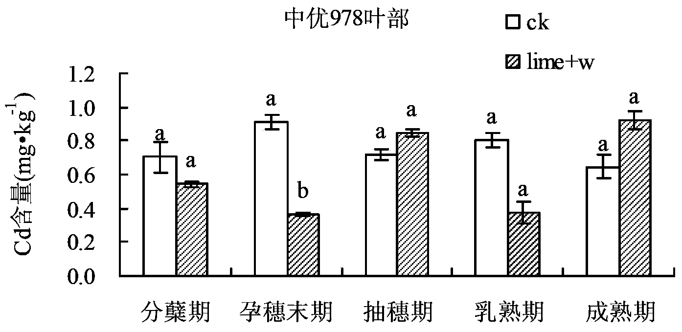 Method for comprehensively controlling cadmium pollution of rice by utilizing modifier and agricultural technology