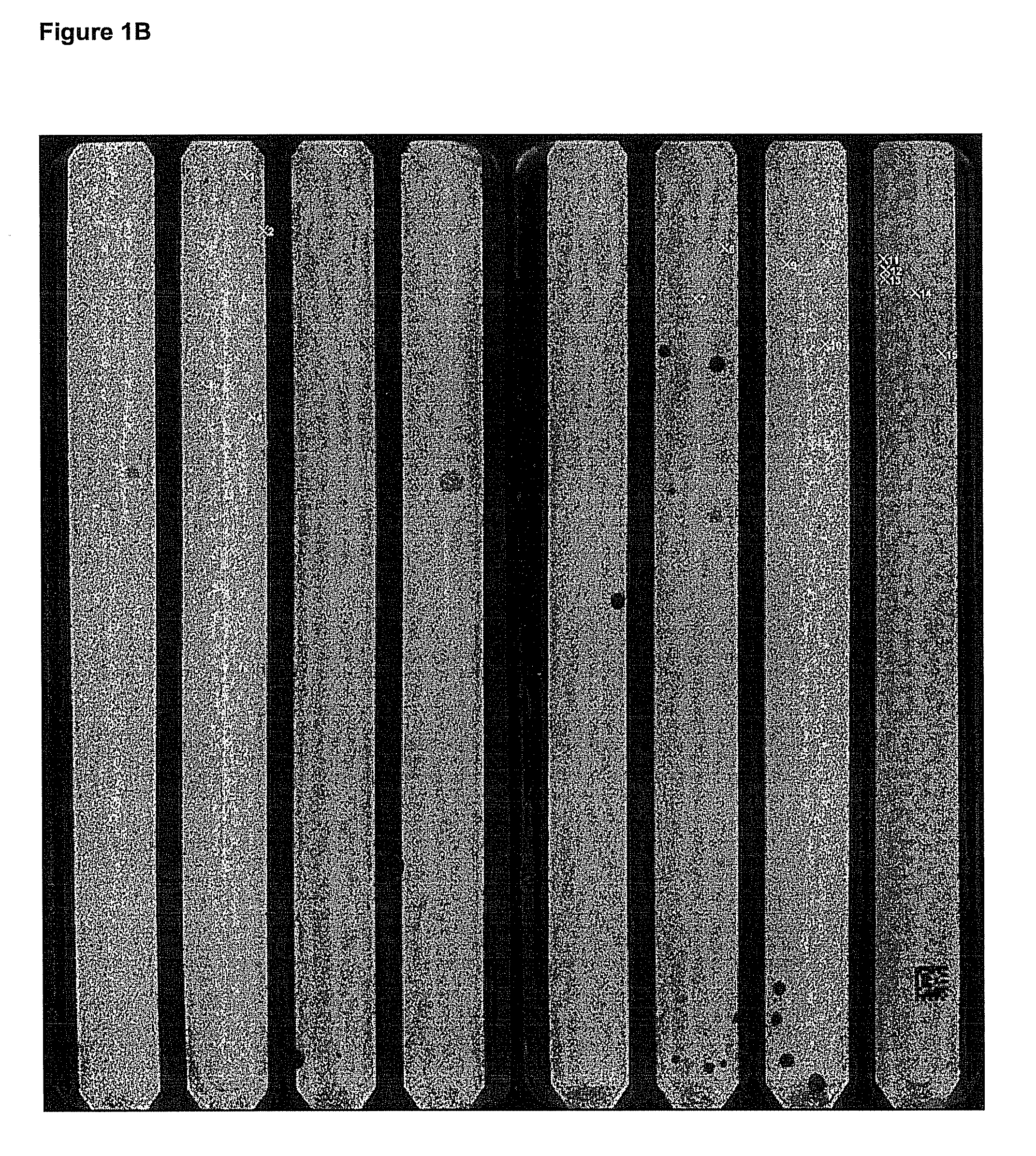 Synthesis of sequence-verified nucleic acids