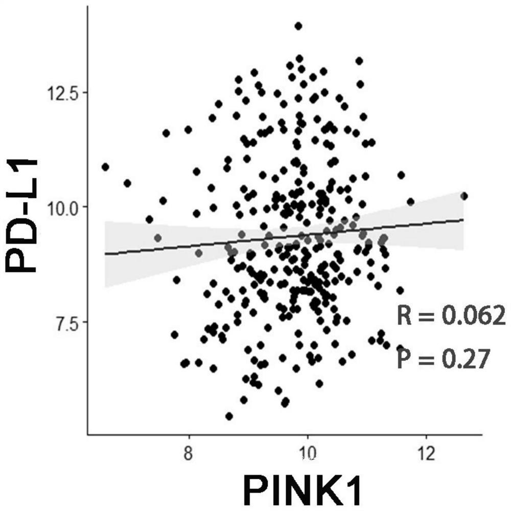 Application of PINK1 as diagnostic marker in construction of lung squamous cell carcinoma prognosis prediction model