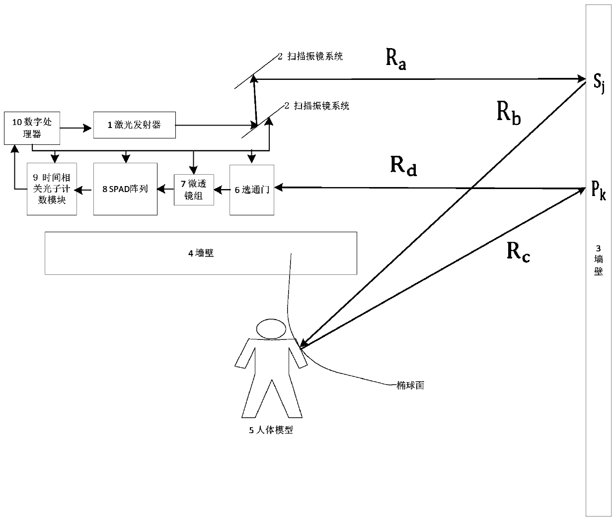 Single-photon array-based gated diffuse reflection imaging system and method