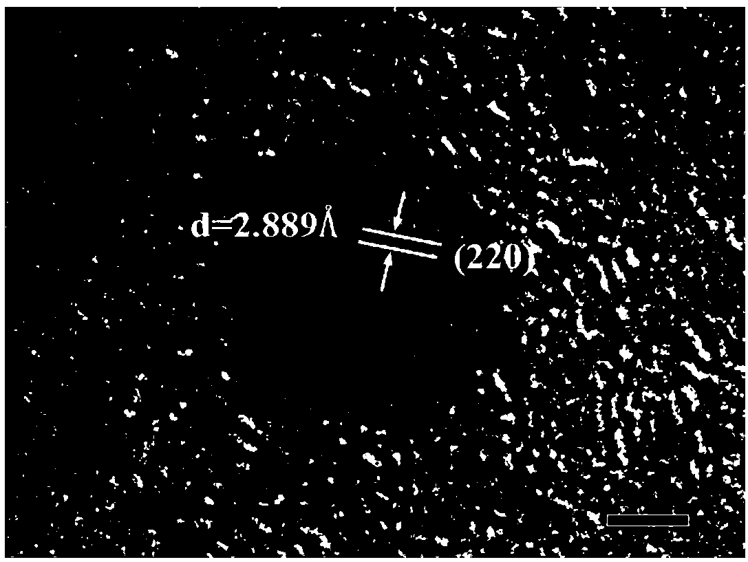 Method for preparing transmission electron microscopy sample of biomimetically synthesized magnetic ferritin nanoparticles