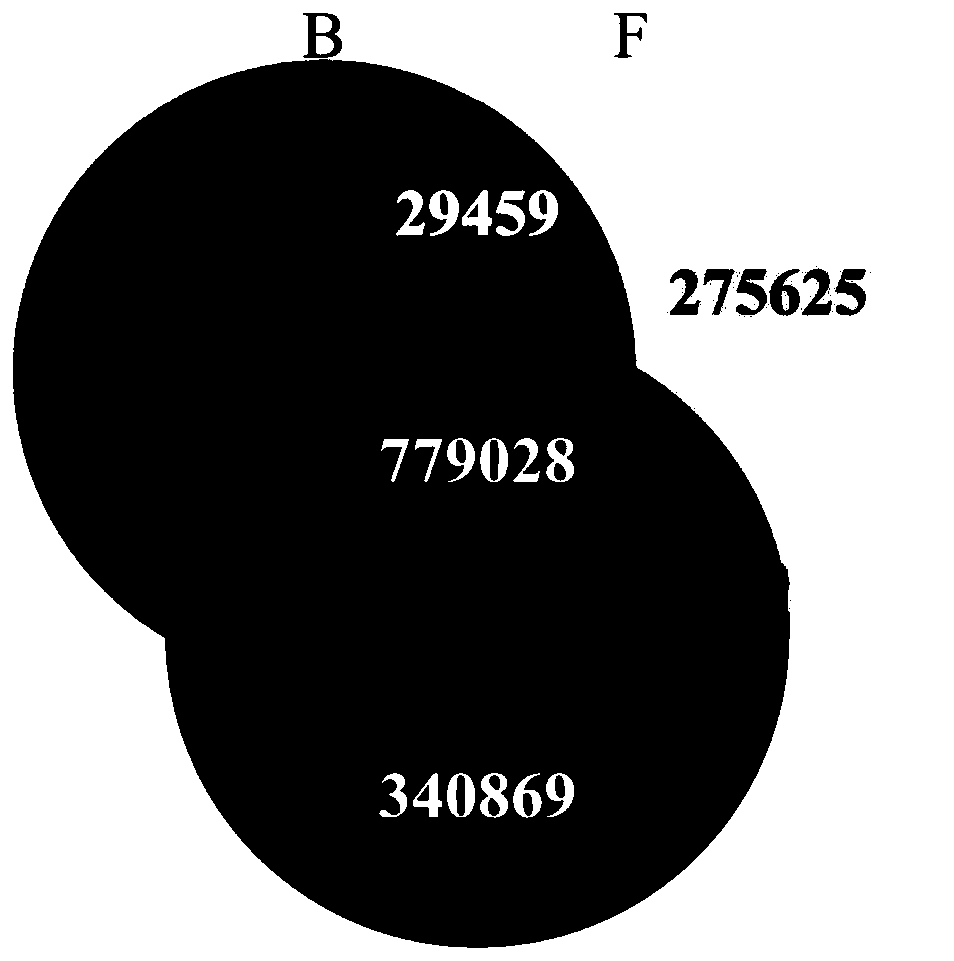 Venn graph manufacturing method based on microbe genome second-generation sequencing data and system thereof