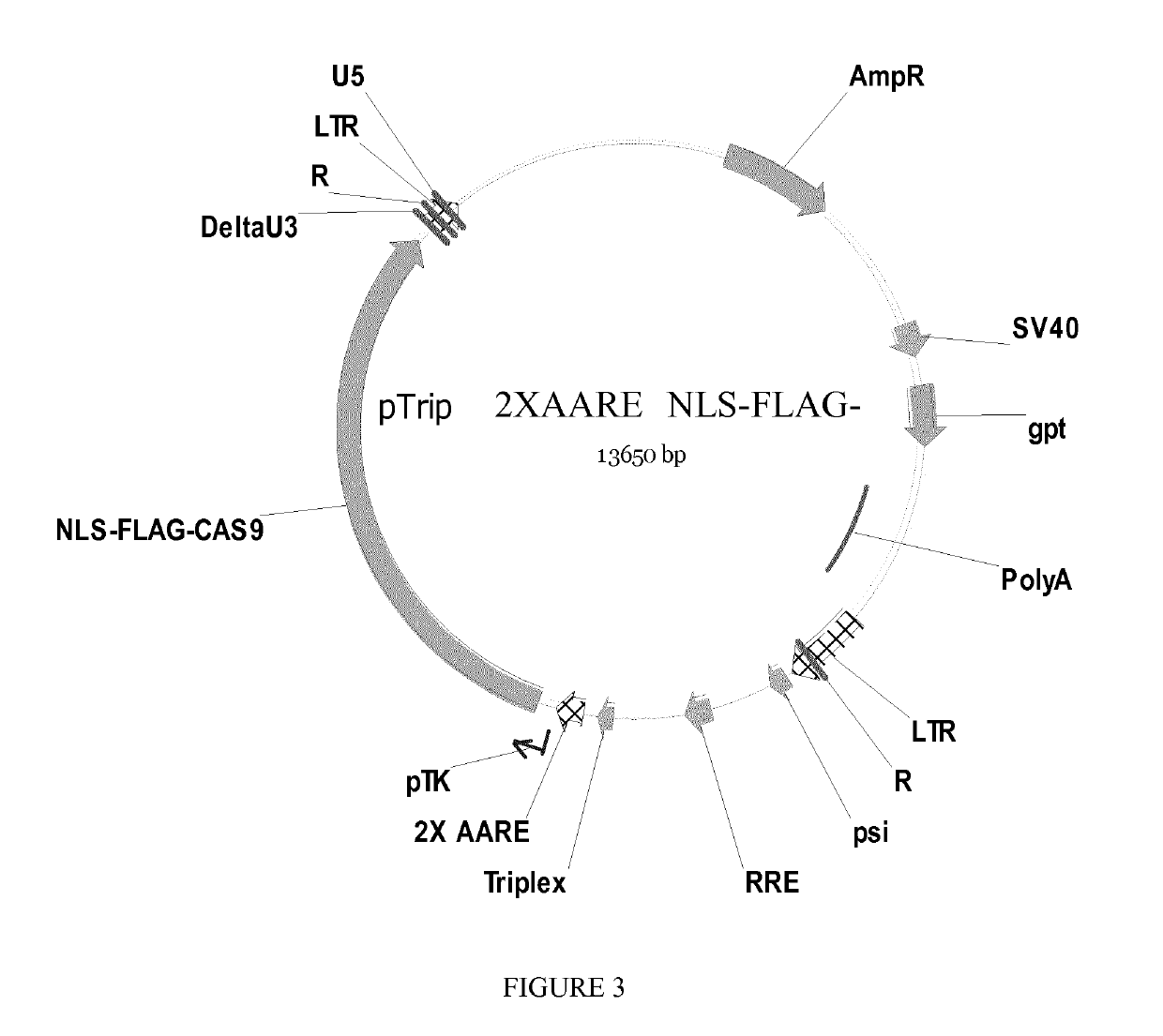 Diet controlled expression of a nucleic acid encoding cas9 nuclease and uses thereof