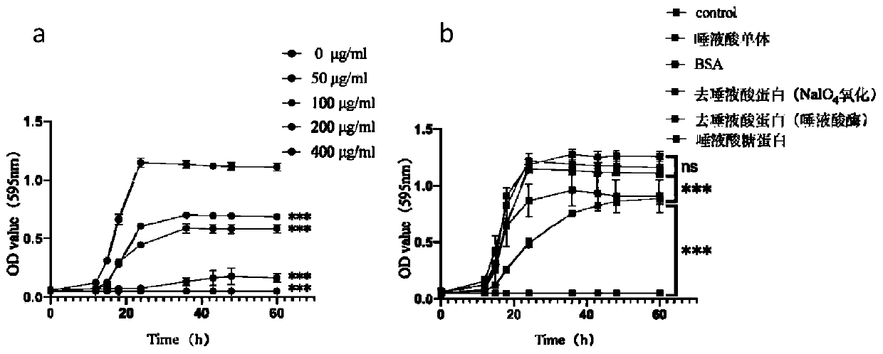 Preparation for inhibiting candida albicans