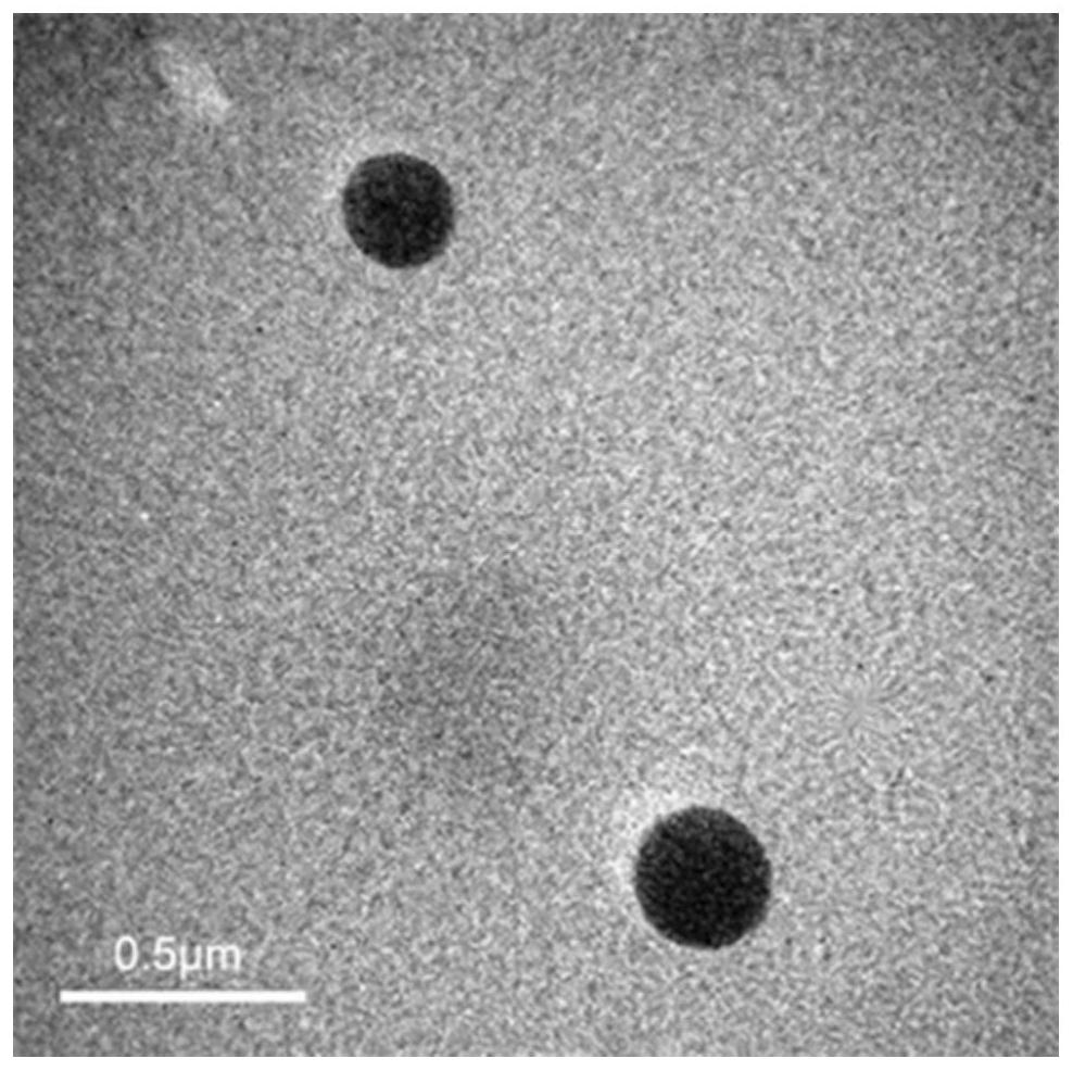 Preparation method and application of a gene-loaded multifunctional contrast agent