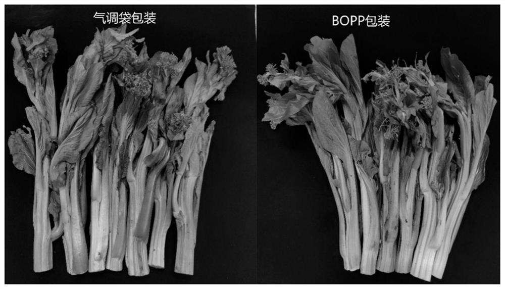 Preservation packaging method for late flowering Chinese cabbages