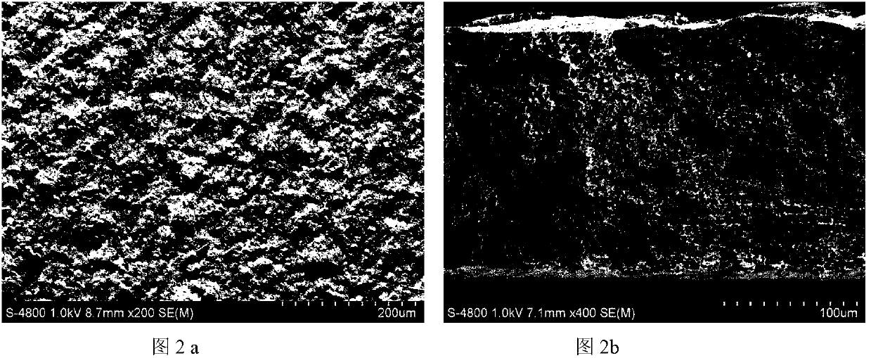 Method for preparing high-hydrophobicity microporous membrane