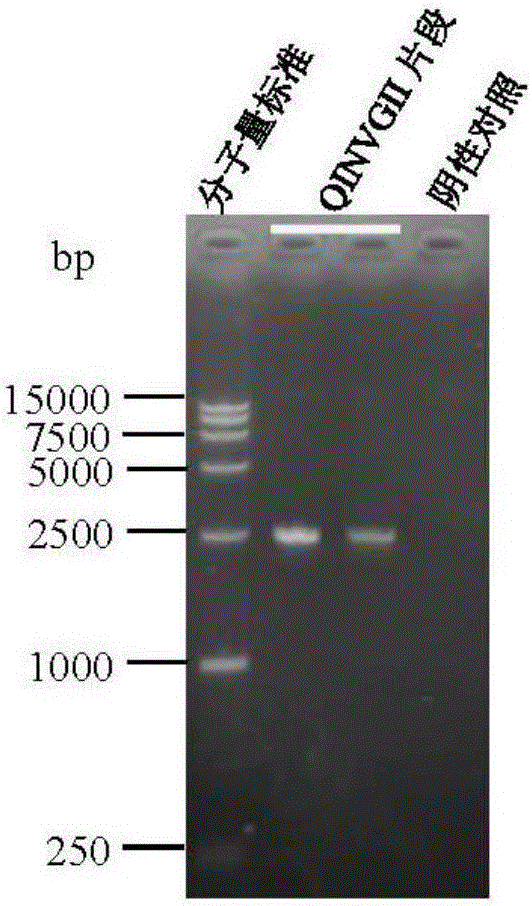 High-stability pseudoviral particles as well as plasmid vector and method for preparing pseudoviral particles