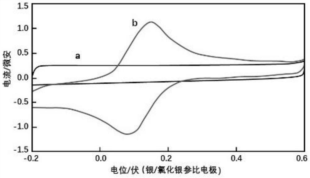 Oxidoreductase for improving electrochemical activity and biosensor containing oxidoreductase