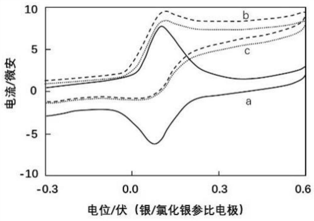 Oxidoreductase for improving electrochemical activity and biosensor containing oxidoreductase