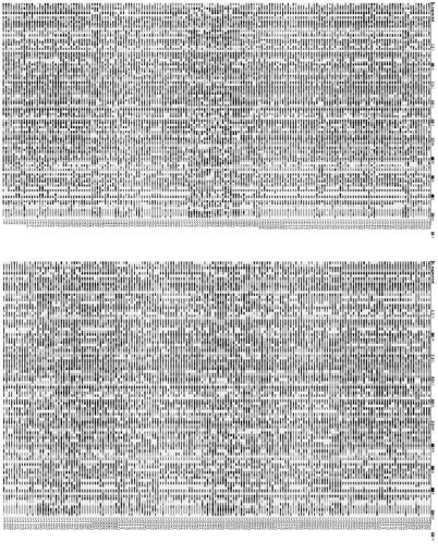 A set of core SNP markers suitable for the construction of Chinese cabbage variety nucleic acid fingerprint database and its application