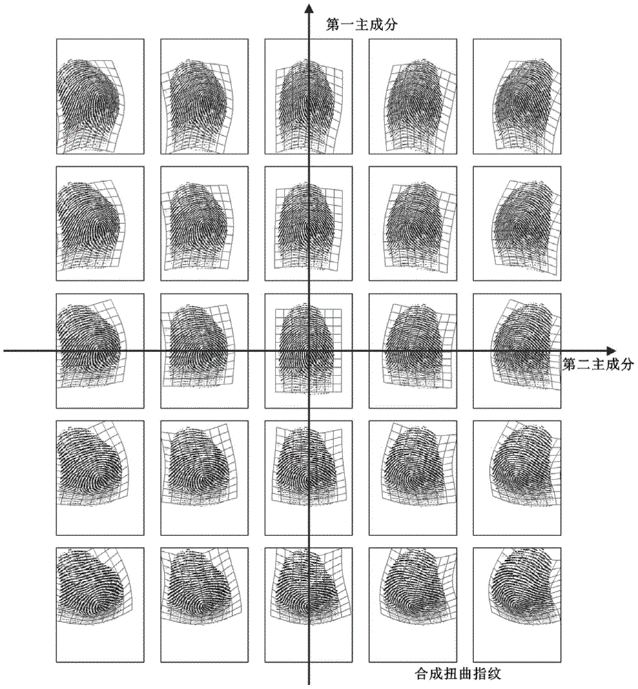 Method and system for synthesizing twisted fingerprints