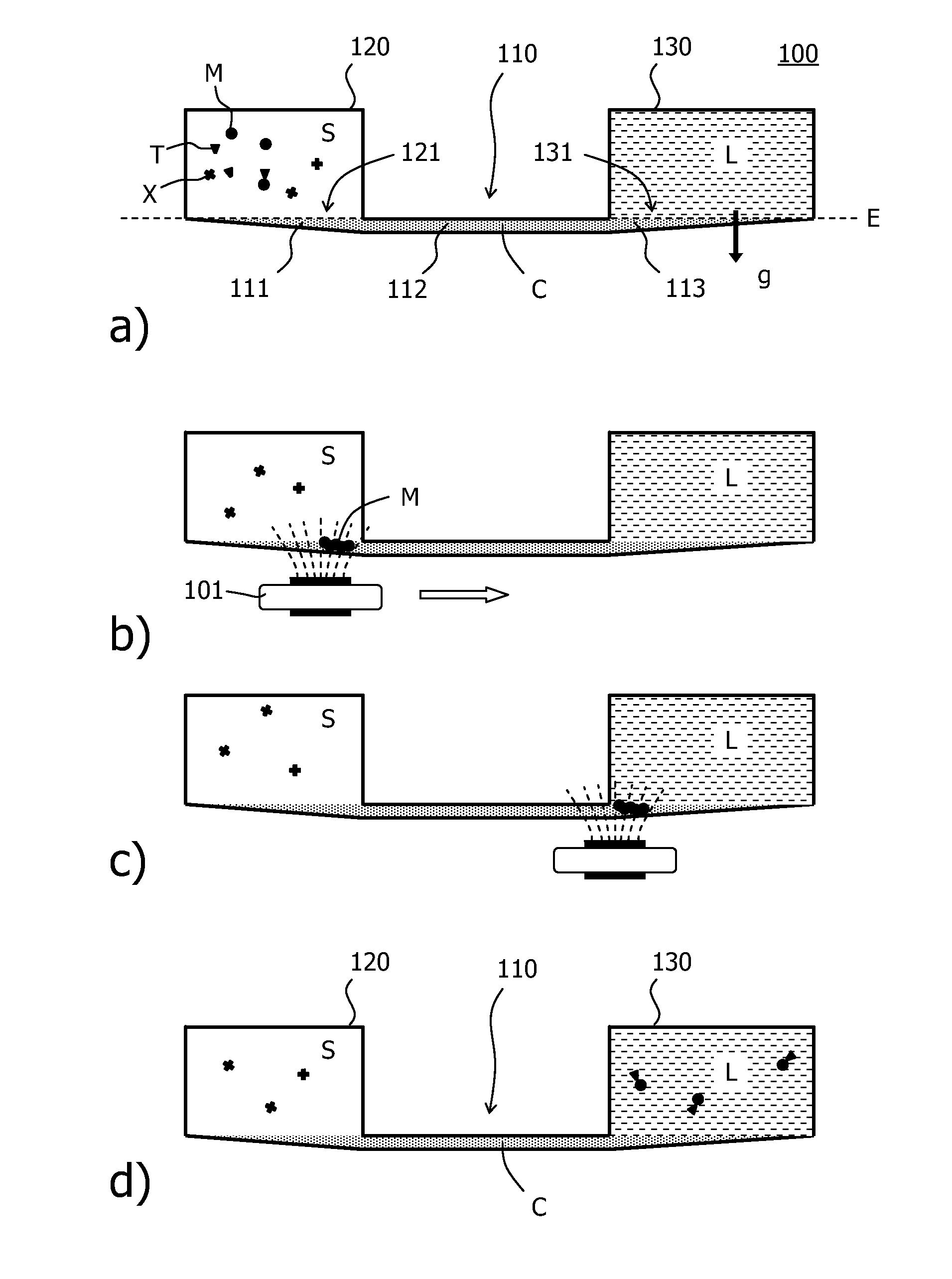 Magnetic sample purification