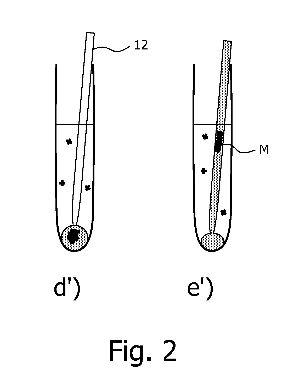 Magnetic sample purification