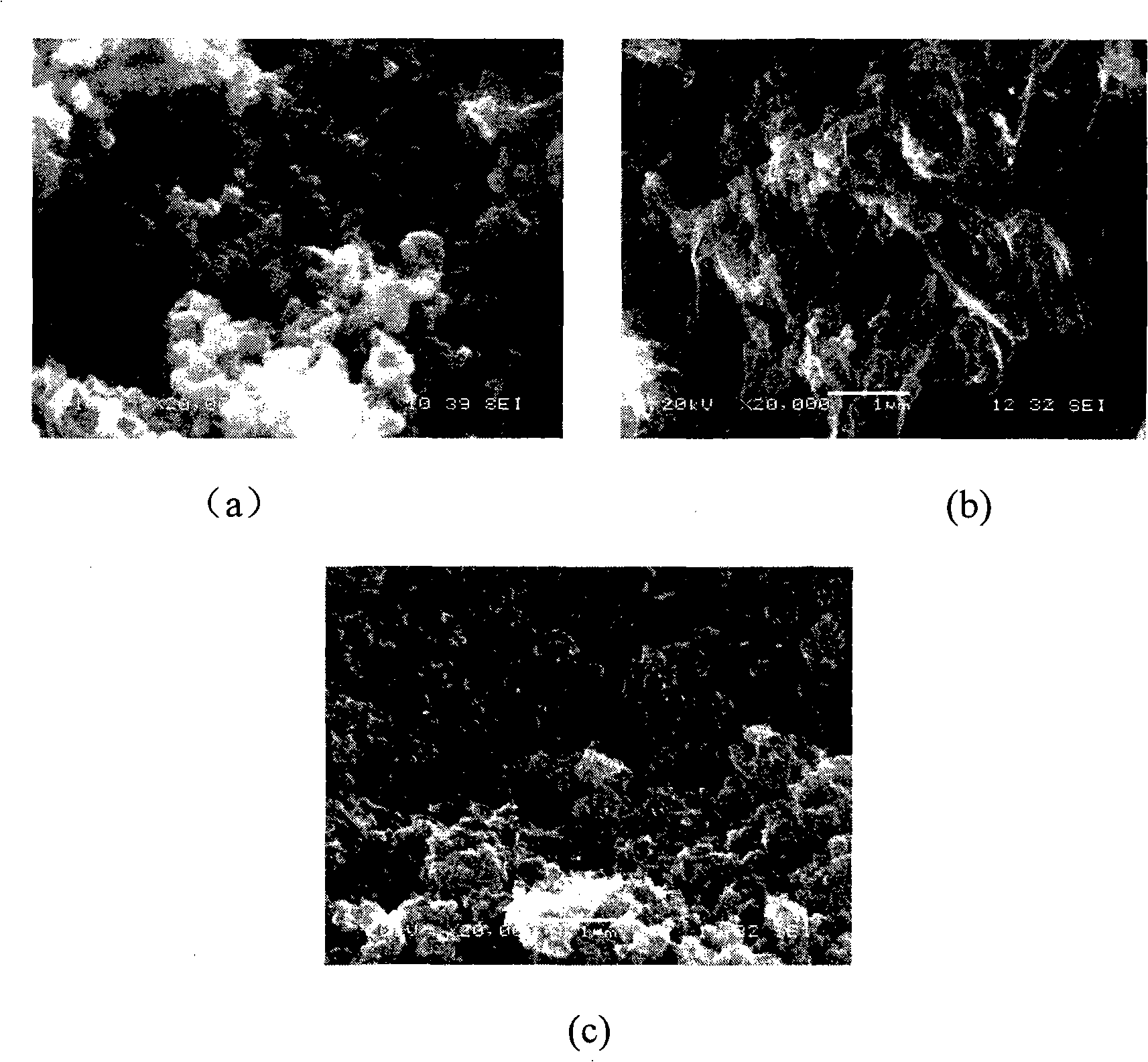 Preparation of polyaniline nano-wire/nano-particle compound system