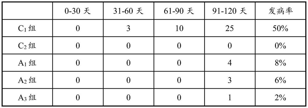 Premix for preparing Altay fattening rams to prevent urinary calculi and preparation method of premix