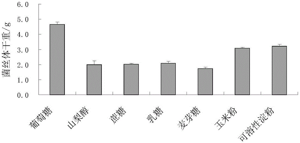 Ganoderma amboinense bacterial liquid fermentation culture method