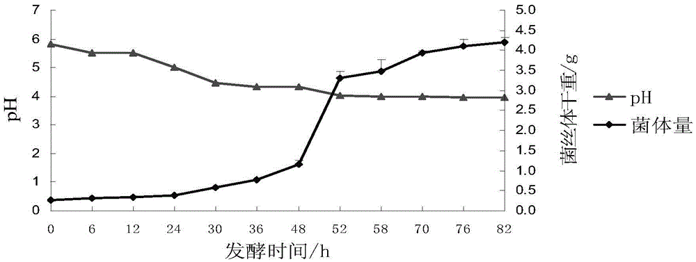 Ganoderma amboinense bacterial liquid fermentation culture method