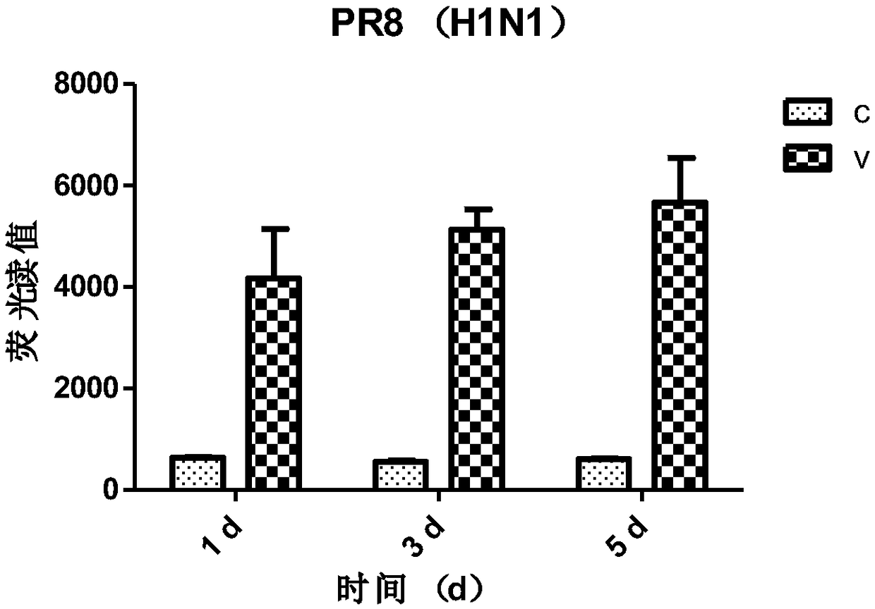 Construction and applications of anti-influenza-virus or anti-inflammatory drug screening model based on in vitro culture of human lung particles