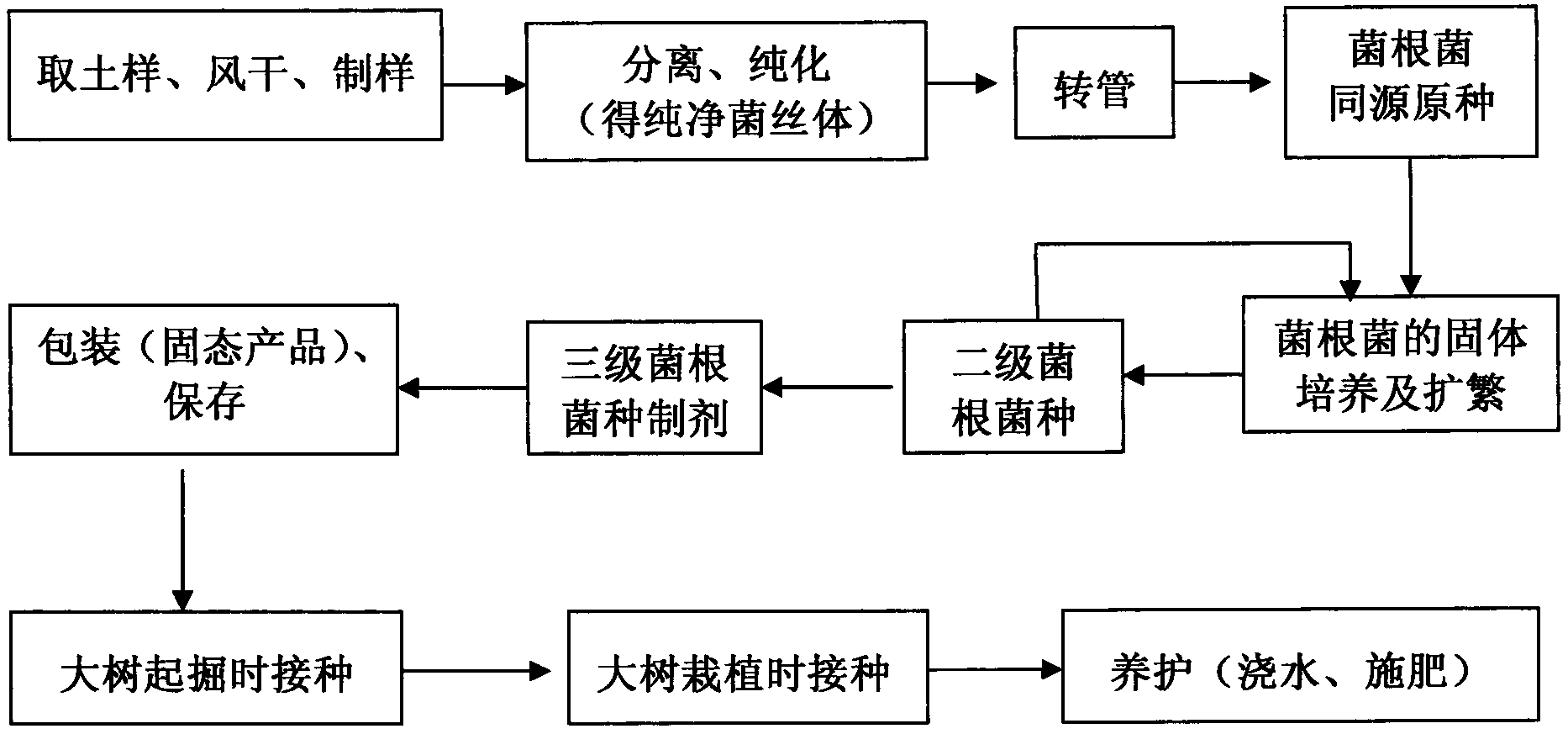 Method suitable for quick rooting and surviving of southern landscape tree after transplantation