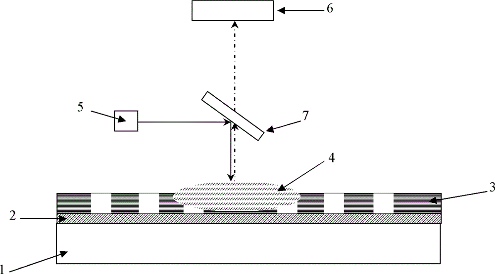 Periodic nanostructure-based biosensor and preparation method thereof