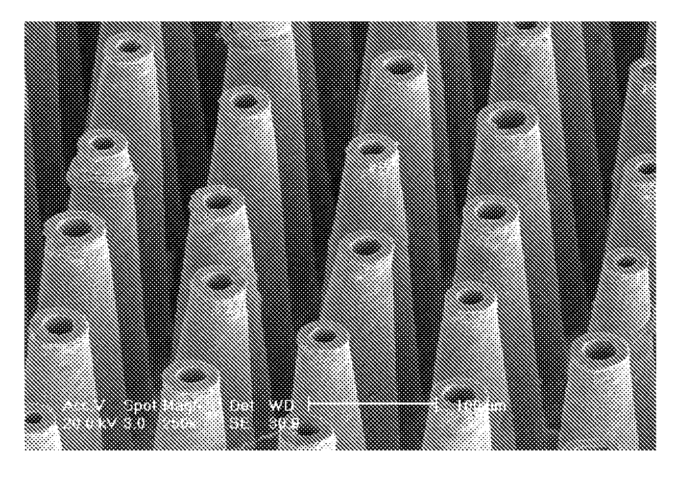 Fabrication method for hollow microneedles for drug delivery