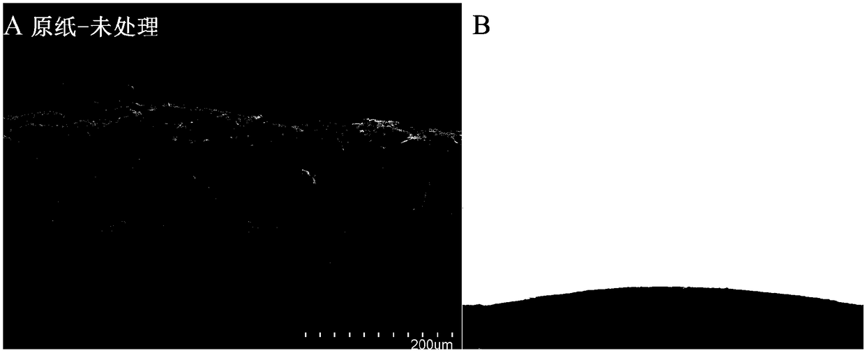 Preparation method of hydrophobic oilproof paper