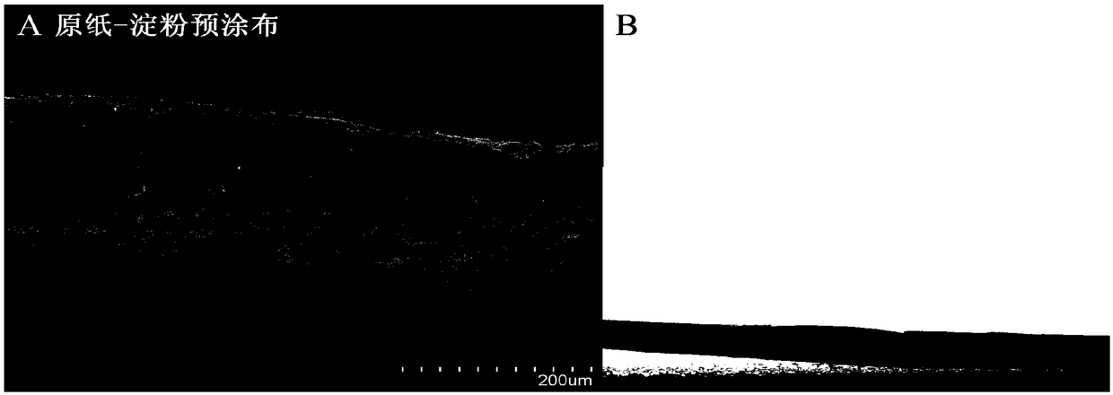 Preparation method of hydrophobic oilproof paper