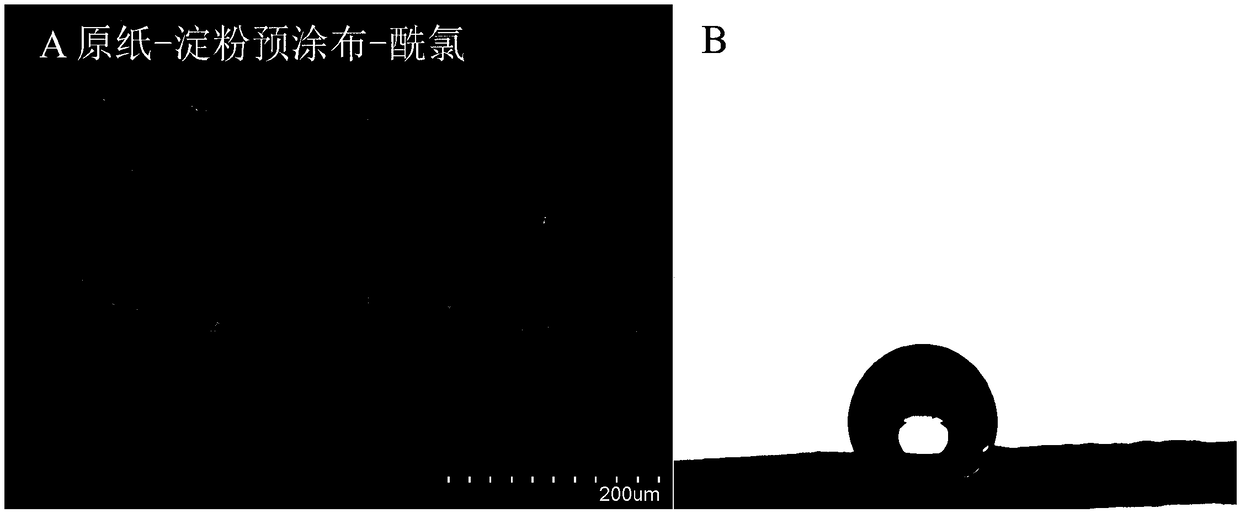 Preparation method of hydrophobic oilproof paper