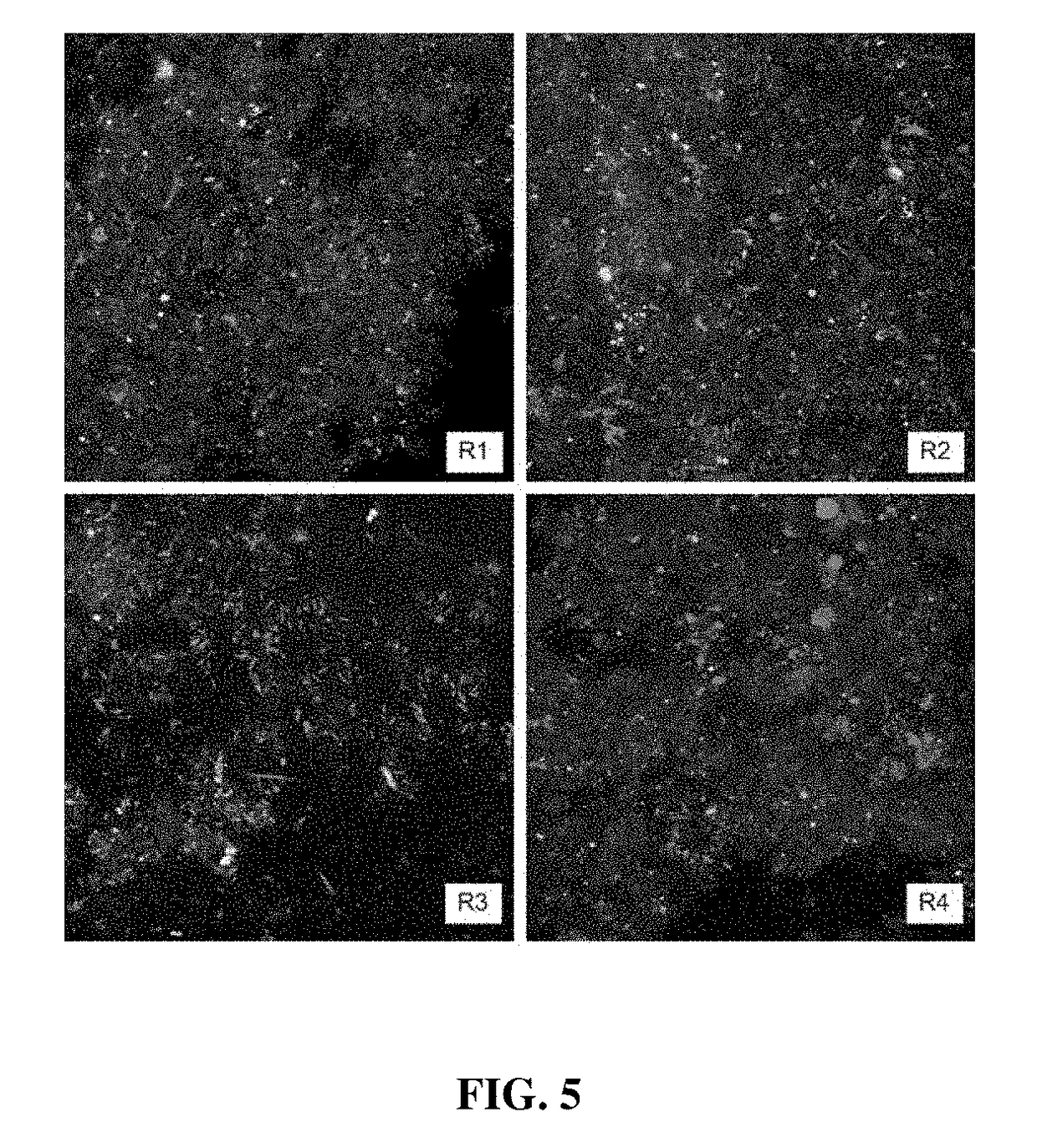 Control of bacterial activity, such as in sewers and wastewater treatment systems