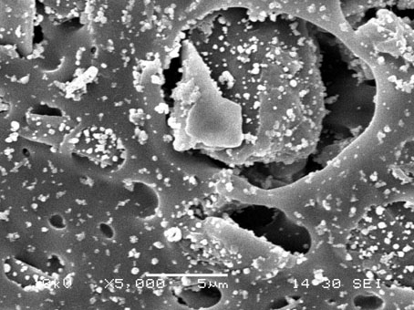 A kind of preparation method of polyurethane-based composite photocatalytic film