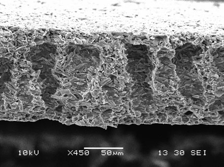 A kind of preparation method of polyurethane-based composite photocatalytic film