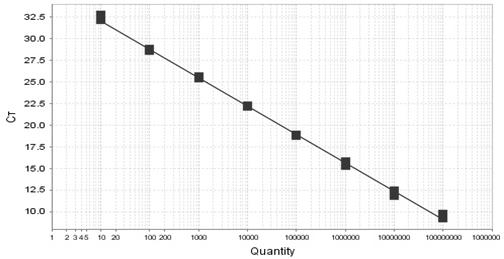 Real-time fluorescence quantitative PCR method for detecting sugarcane ratoon stunning disease