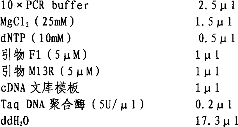 Portunus trituberculatus anti-lipopolysaccharide factor PtALF-1 gene, protein encoded by gene and application of protein