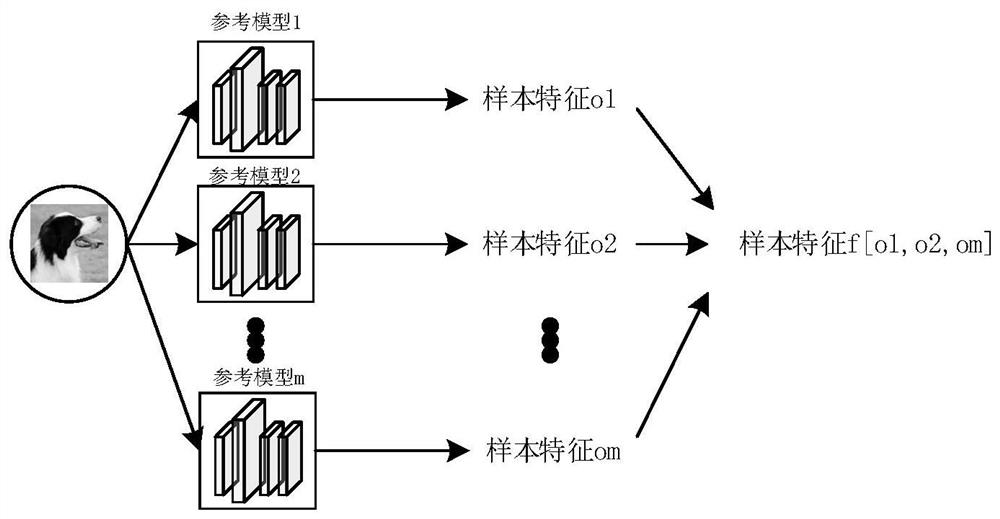 Member reasoning attack-oriented deep model privacy protection method based on abnormal point detection