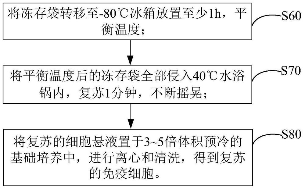 Immune cell freezing medium and use method thereof