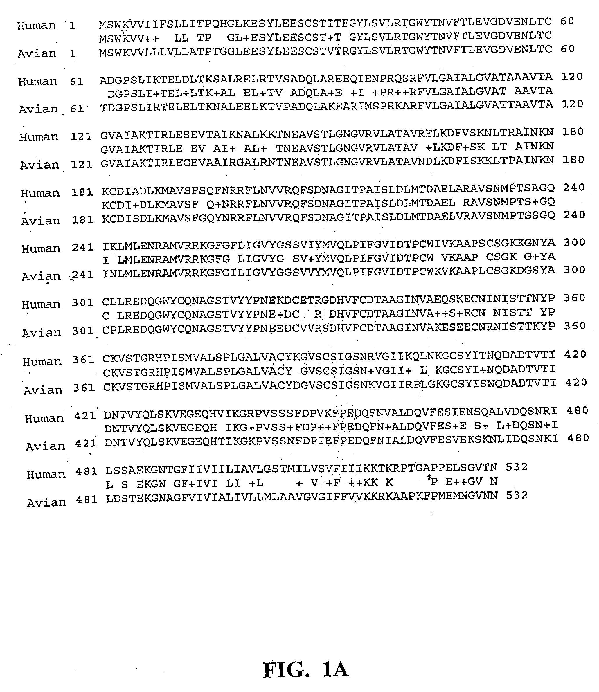 Recombinant parainfluenza virus expression systems and vaccines comprising heterologous antigens derived from metapneumovirus