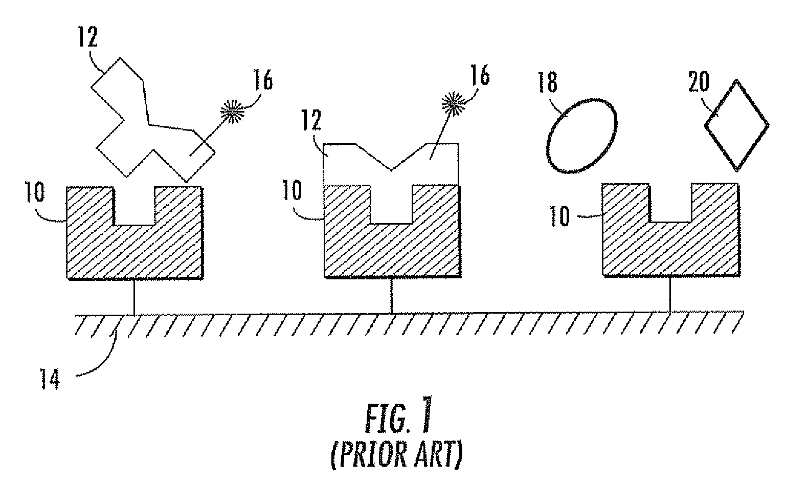 Fluorescence biosensor