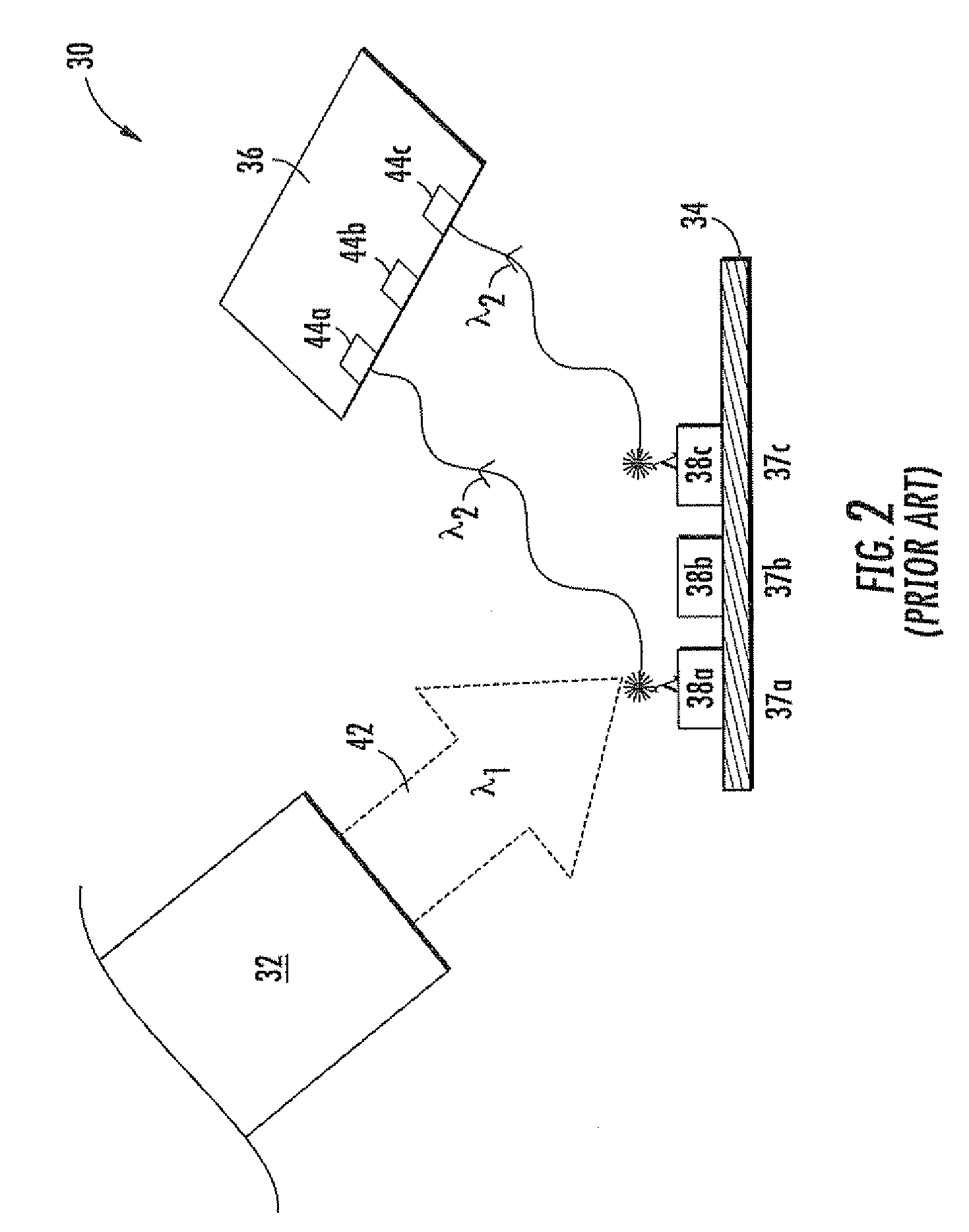 Fluorescence biosensor