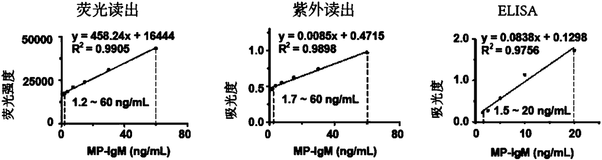 Immunoassay method based on thioflavin T