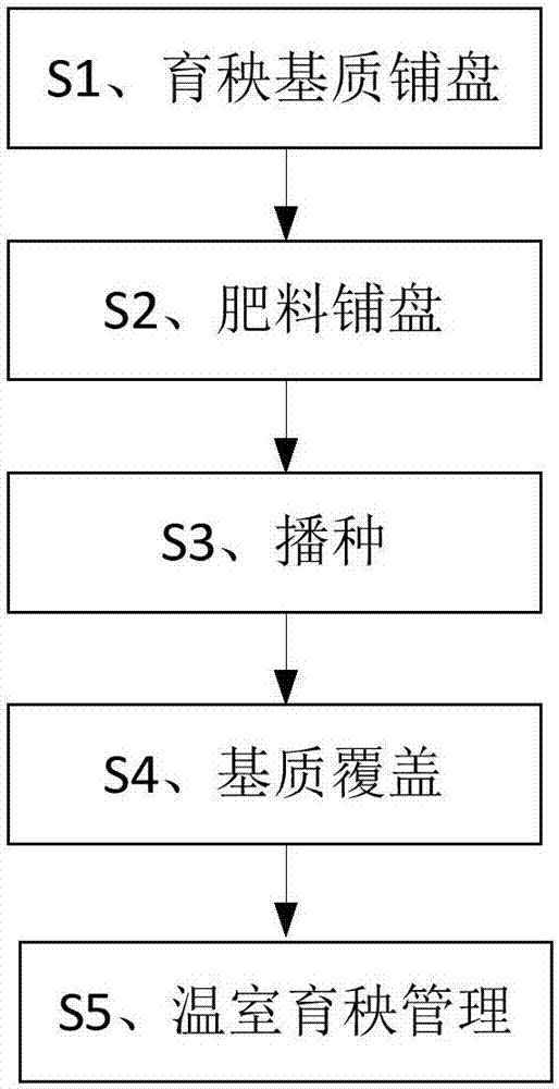 Rice seedling raising method