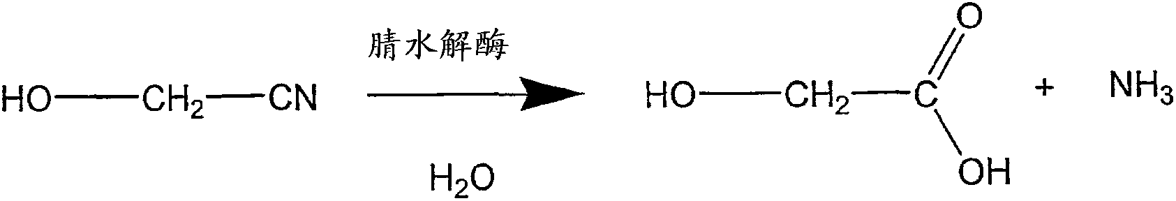 Enzymatic production of glycolic acid