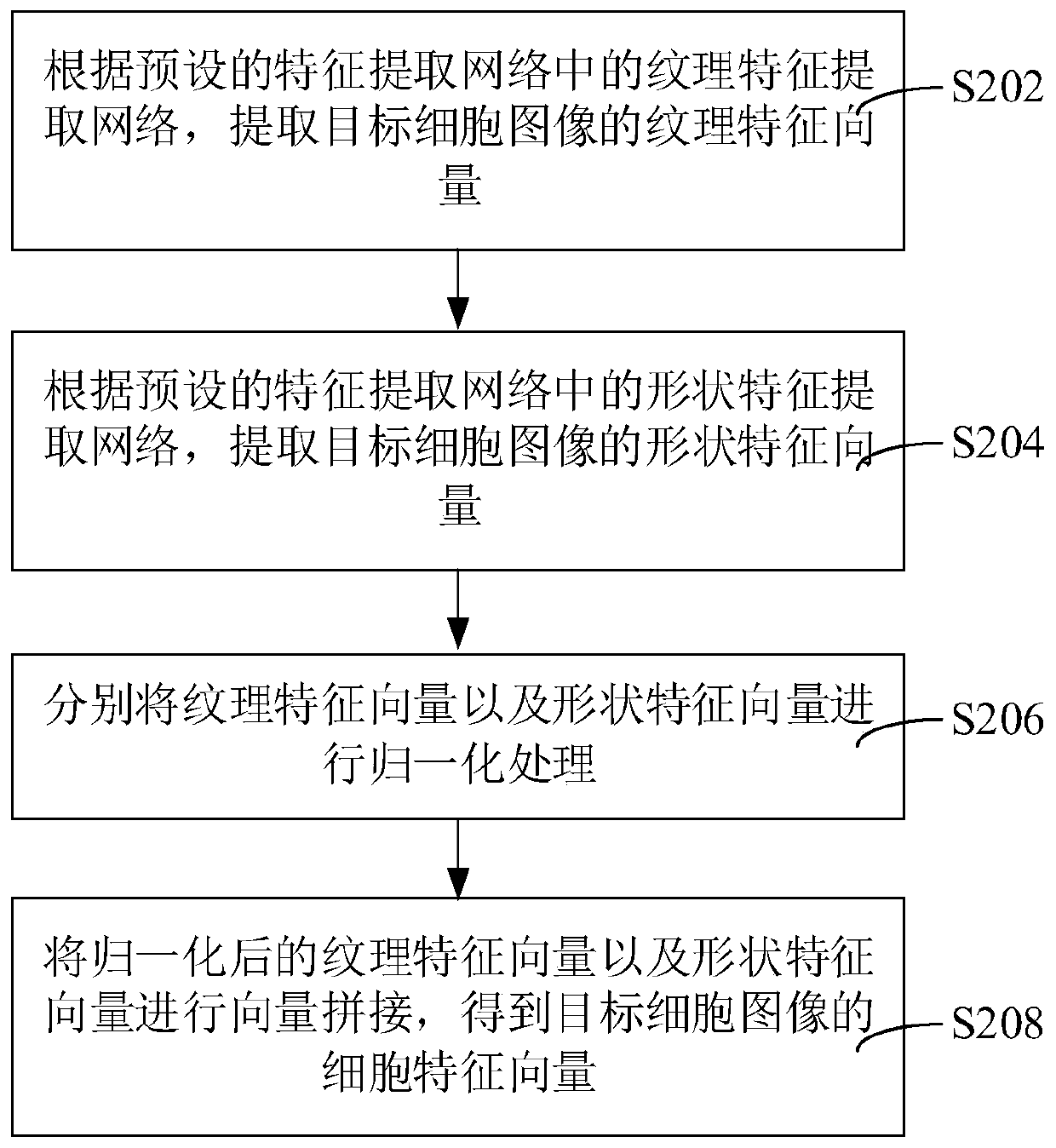 Cell classification method and device, computer equipment and storage medium