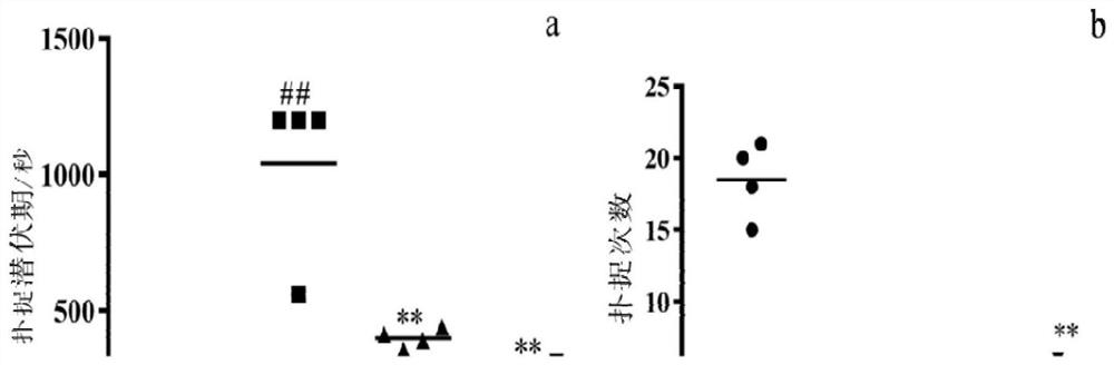 Application of protein long-acting preparation in improving sexual dysfunction