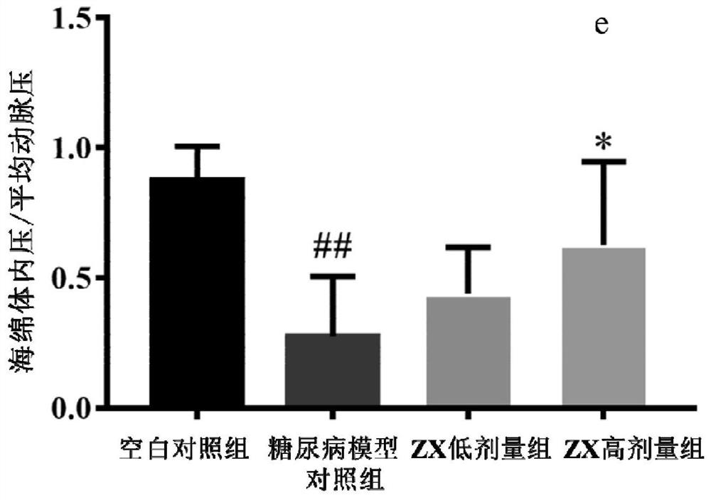 Application of protein long-acting preparation in improving sexual dysfunction